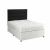 Alaska Medium-Comfort Divan Bed Set with Coil Spring Mattress